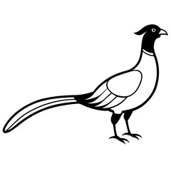 Animal Pheasant line art vector 