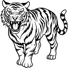 Fototapeta premium Tiger Line Art