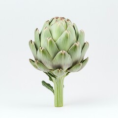 Obraz premium Artichokes artichoke vegetable isolated.