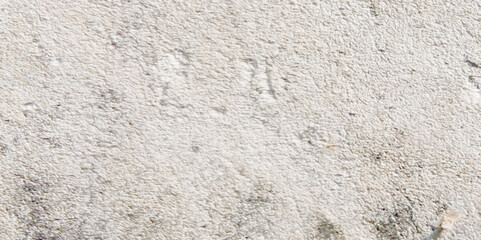 Abstract dust grunge particle and dust grain texture concrete wall grunge on white background Vector.