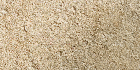 Abstract dust grunge particle and dust grain texture concrete wall grunge on white background Vector.
