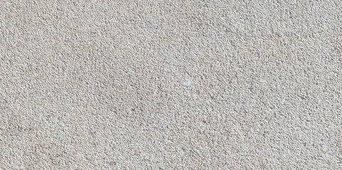 Abstract dust grunge particle and dust grain texture concrete wall grunge on white background Vector.