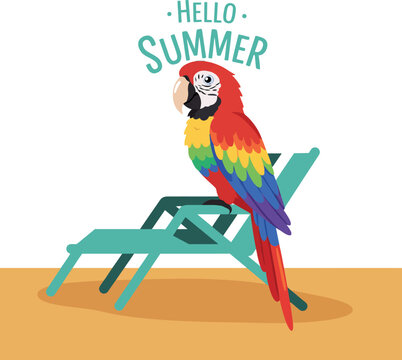 Colorful parrot on beach chair with hello summer text vector illustration design bright tropical bird and summer theme 