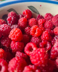  Fresh Raspberries