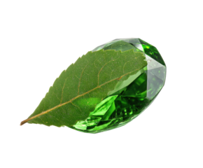 Green gem resting on a green leaf symbolizing nature