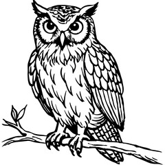 Fototapeta premium Owl Line Art