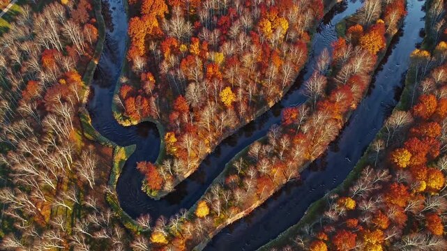 Autumn forest and lake top view