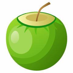 green coconut isolated vector
