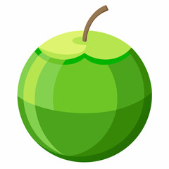 green coconut isolated vector