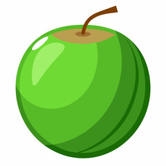 green coconut isolated vector