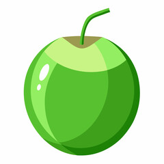 green coconut isolated vector