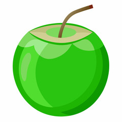 green coconut isolated vector