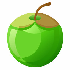 green coconut isolated vector