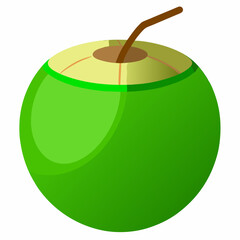 green coconut isolated vector