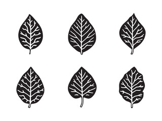 Fototapeta premium Teak leaf line art simple organic design perfect for artwork