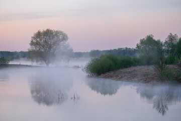 Fototapeta premium spring morning mist over the river