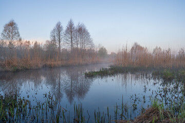 morning on the river