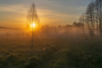 Obraz premium sunrise over the field