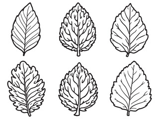 Walnut leaf line art perfect for modern home wall decor