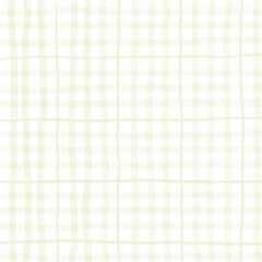 Sage Green Plaid Tartan Gingham Check Hand Drawn Background Pattern Overlay