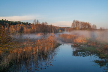spring landscape with river