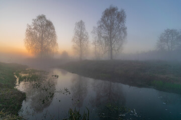 morning fog in the forest. the dawn of a lake. dawn in the forest. landscape