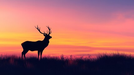 A striking silhouette of a majestic red deer stag set against a sunset.
