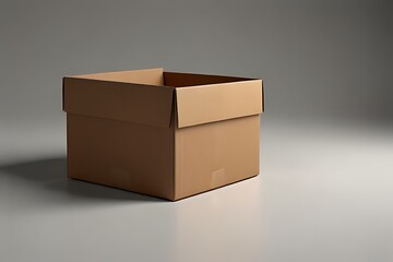 open cardboard box on a white background