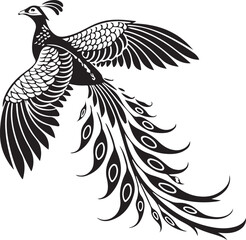 Fototapeta premium grey peacock pheasant silhouette vector