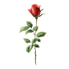 Obraz premium A single rose stem with leaves in a clean vector style, isolated on a white background