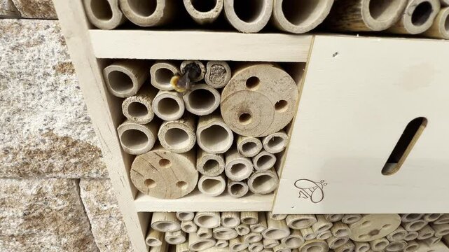 Insect hotel, Insect shelter