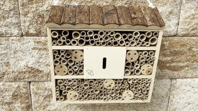 Insect hotel, Insect shelter