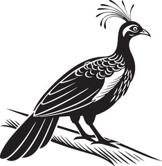 Obraz premium Himalayan Monal silhouette vector