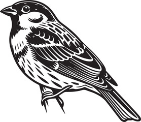 Naklejka premium Italian Sparrow bird silhouette