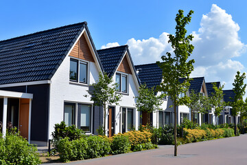Modern family houses in the Netherlands, with white and gray walls featuring wooden accents, trees and bushes in the front yard, on a sunny day with a blue sky.