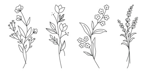 Elegant Black and white Floral Line Art Illustrations