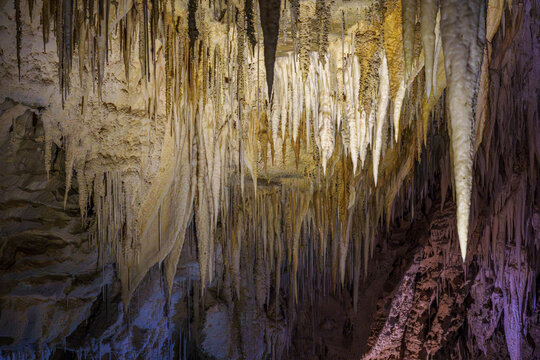 Stalactite and stalagmite limestone formation in the Ruakuri glowworm Cave in Waitomo  