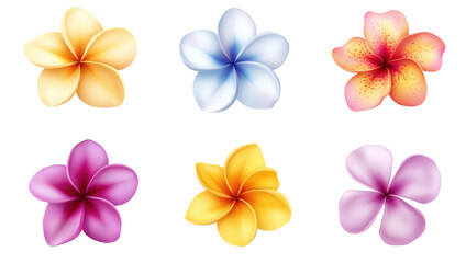 Obraz premium Plumeria Collection: Six vibrant plumeria flowers in various colors, showcasing their delicate petals and exotic beauty.