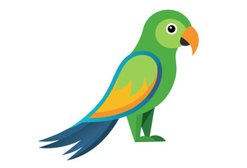 parrot on white background