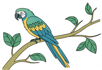 parrot on branch