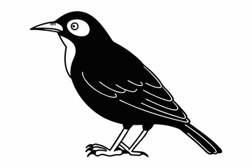 bird on a branch