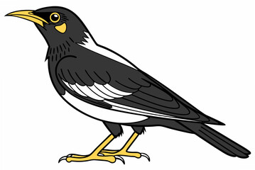 crow on a white background