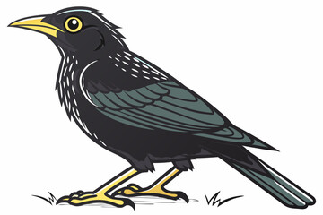 crow on a branch