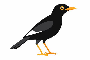 Obraz premium bird on a branch