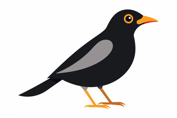 bird on a white background