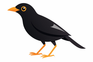 crow on a branch