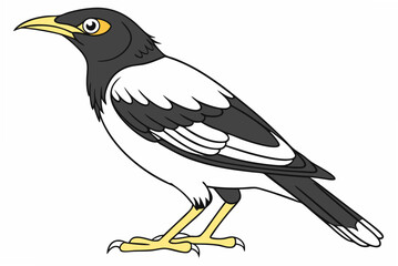 Fototapeta premium bird on a branch