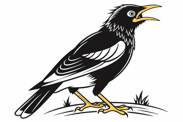 vector illustration of a bird