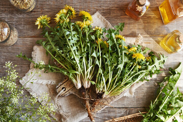 Whole dandelion plants with roots on a wooden table