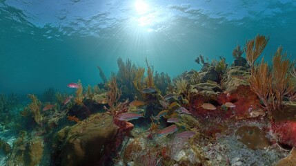 Fototapeta premium Vibrant underwater ecosystem showcasing diverse marine life and coral formations in a serene ocean environment with sunlight filtering through water concept